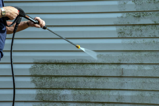 Best Pool Deck Cleaning in Woodville, CA